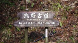 Viaje Japón Camino Kumano