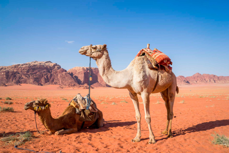 Desierto Del Wadi Rum - Viaje A Jordania