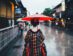 Viaje A Japón Con Alberto Nolla