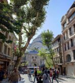 Viajar A Turquia Mezquita