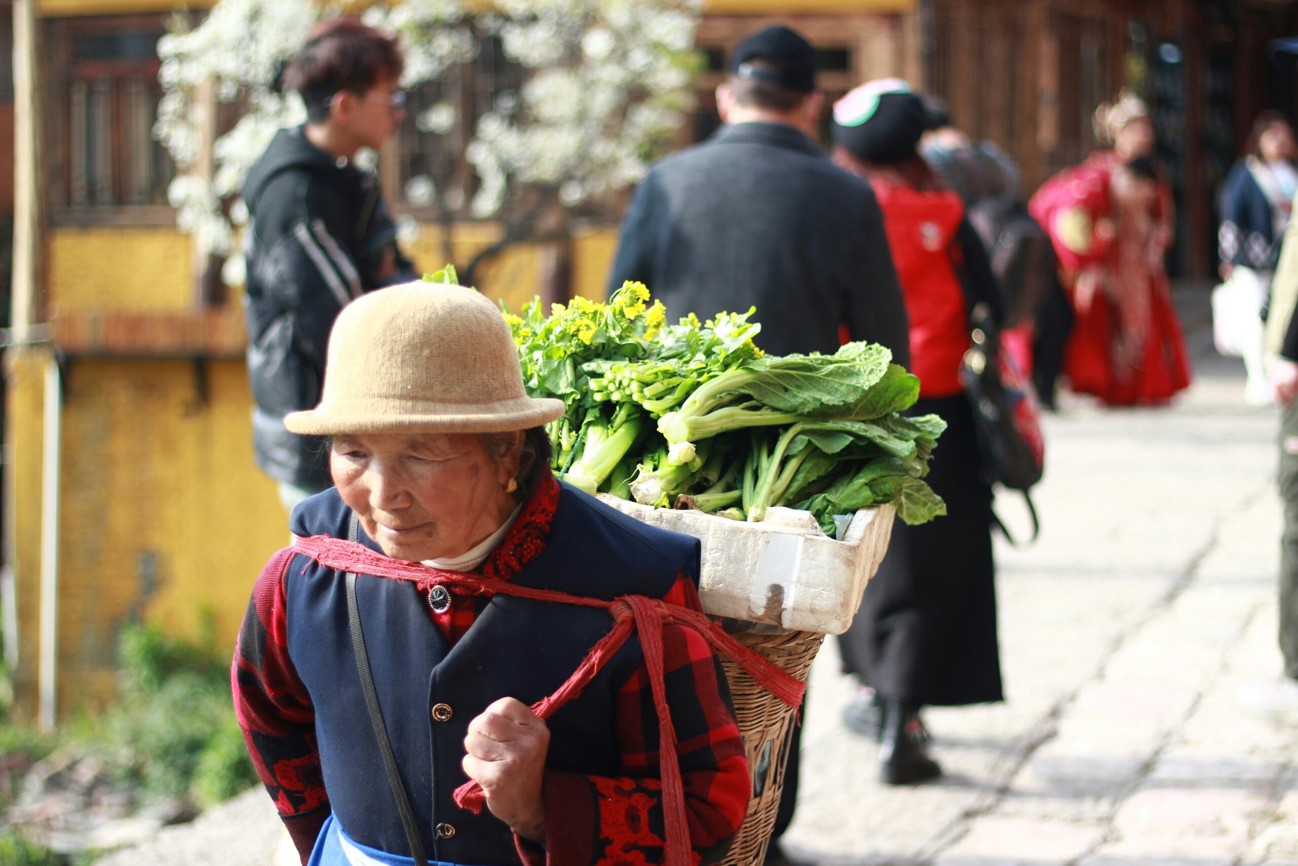 China Lijiang, viaje yunnan